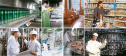 industria agroalimetare
