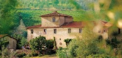 Insediamento giovani in agricoltura regione Toscana