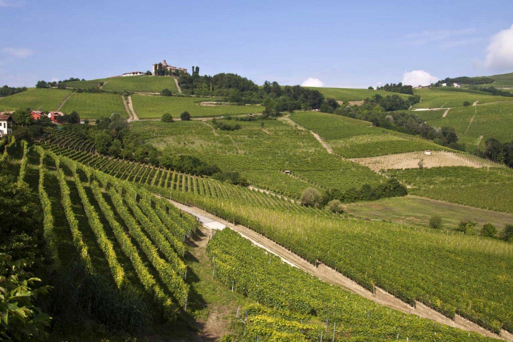 acquisto azienda