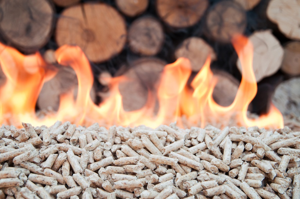 pellet e biomasse