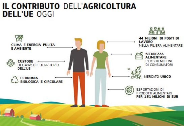 contributo agricoltura europea