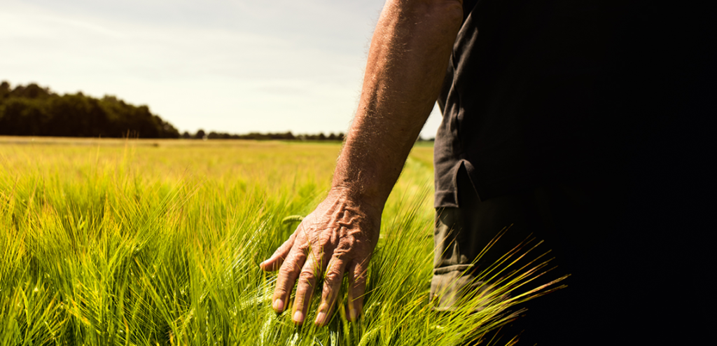 agricoltura innovativa