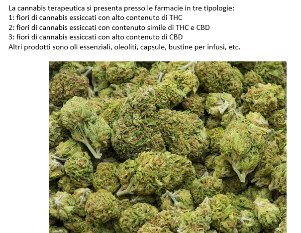 produzione di cannabis aeroponica