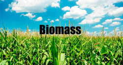 Cogenerazione a biomassa in container