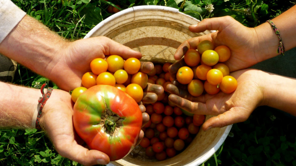 innovazione in agricoltura