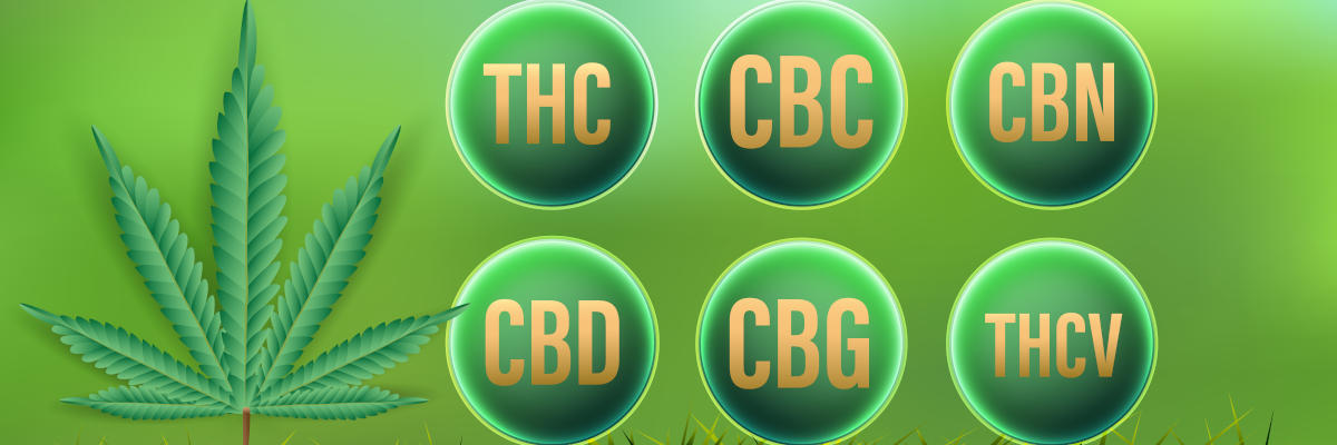 CBD,THC,CBC,CBN,CBG,THCV Natural Cannabinoids in Cannabis.Vector