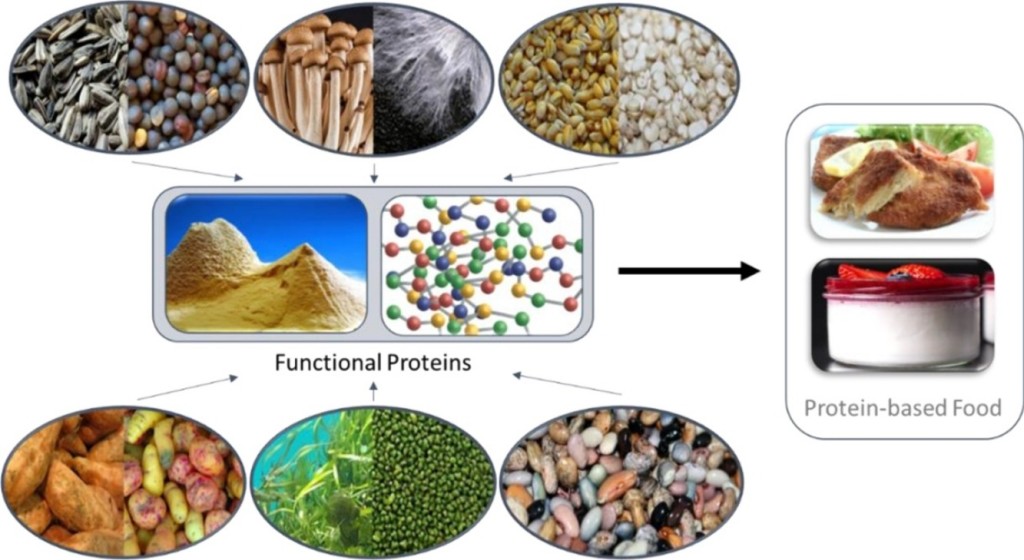 proteine vegetali