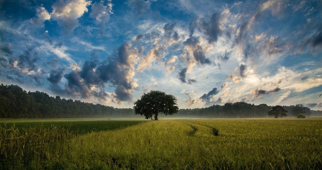 Foto di JuergenPM da Pixabay 