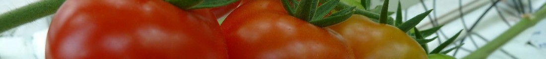 Finanziamenti Agricoltura | Bandi Regionali e Agro Notizie