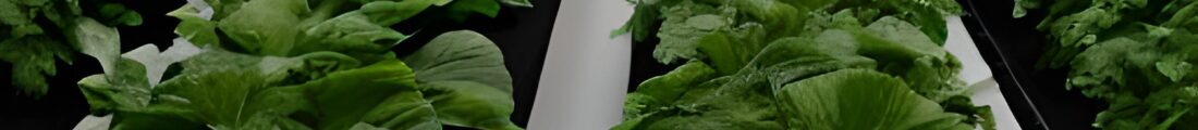 Finanziamenti Agricoltura | Bandi Regionali e Agro Notizie