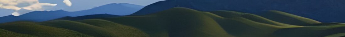 Finanziamenti Agricoltura | Bandi Regionali e Agro Notizie
