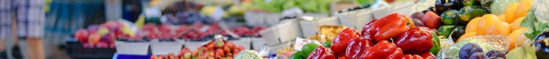 Finanziamenti Agricoltura | Bandi Regionali e Agro Notizie