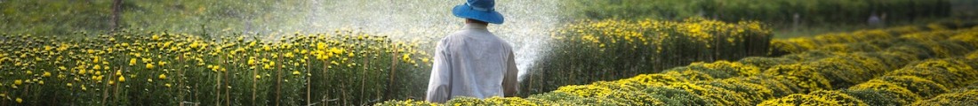 Finanziamenti Agricoltura | Bandi Regionali e Agro Notizie