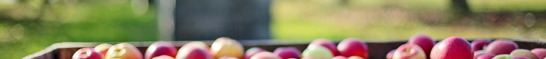 Finanziamenti Agricoltura | Bandi Regionali e Agro Notizie