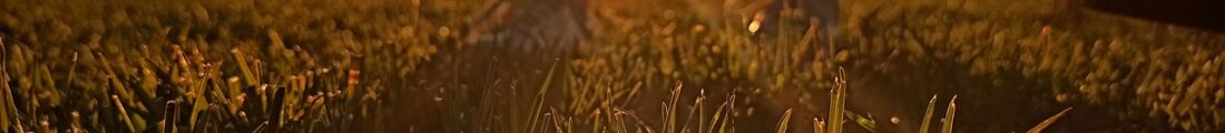 Finanziamenti Agricoltura | Bandi Regionali e Agro Notizie