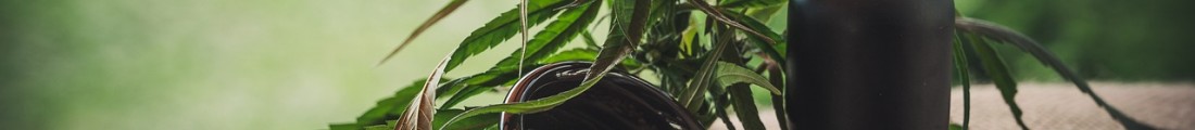 Finanziamenti Agricoltura | Bandi Regionali e Agro Notizie