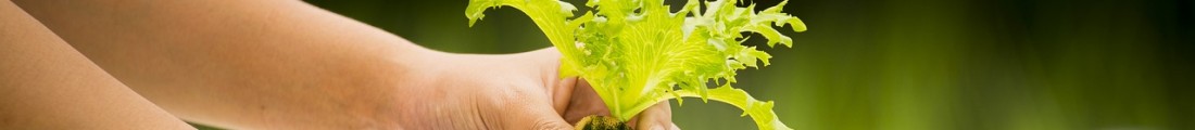 Finanziamenti Agricoltura | Bandi Regionali e Agro Notizie