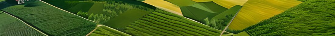Finanziamenti Agricoltura | Bandi Regionali e Agro Notizie