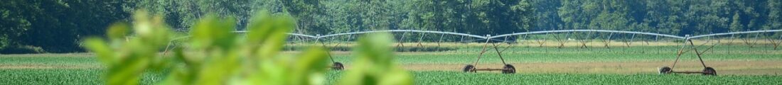 Finanziamenti Agricoltura | Bandi Regionali e Agro Notizie