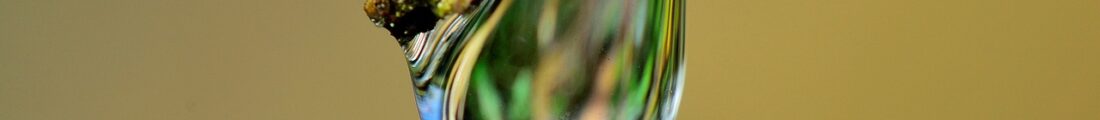 Finanziamenti Agricoltura | Bandi Regionali e Agro Notizie