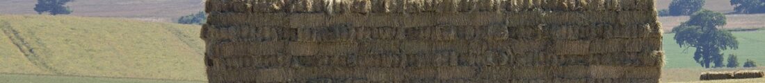 Finanziamenti Agricoltura | Bandi Regionali e Agro Notizie