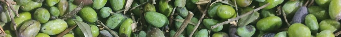 Finanziamenti Agricoltura | Bandi Regionali e Agro Notizie