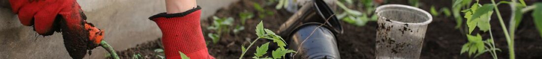 Finanziamenti Agricoltura | Bandi Regionali e Agro Notizie
