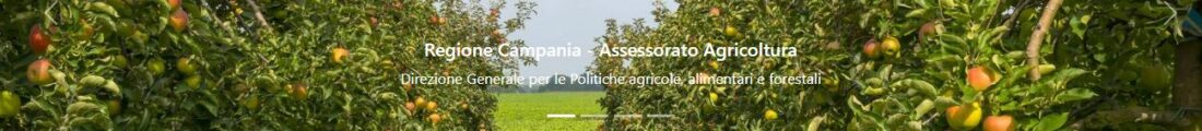Finanziamenti Agricoltura | Bandi Regionali e Agro Notizie