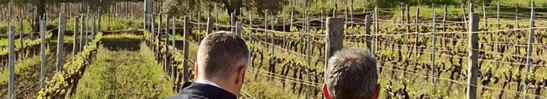Finanziamenti Agricoltura | Bandi Regionali e Agro Notizie